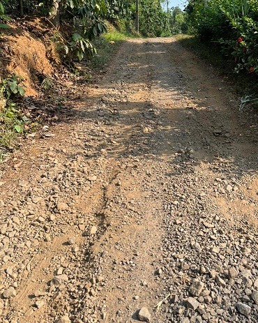 ചെങ്ങോട്ടുകുന്ന്-ഓലഞ്ചേരി റോഡിന്റെ ഭാഗം.