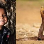 ഉറങ്ങിക്കിടക്കുന്നതിനിടെ പാമ്പ് കടിച്ചു; തിരുവനന്തപുരത്ത് എട്ടുവയസുകാരന് ദാരുണാന്ത്യം