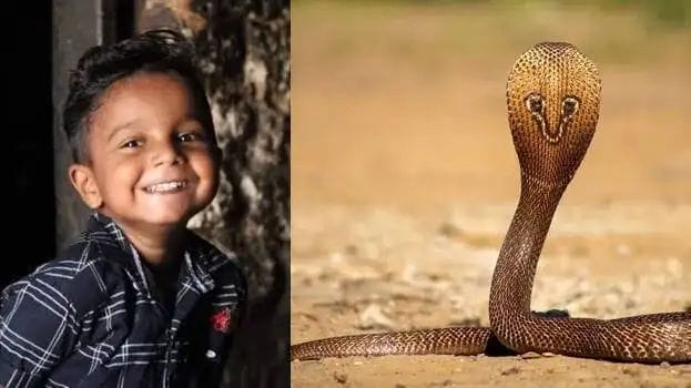 ഉറങ്ങിക്കിടക്കുന്നതിനിടെ പാമ്പ് കടിച്ചു; തിരുവനന്തപുരത്ത് എട്ടുവയസുകാരന് ദാരുണാന്ത്യം