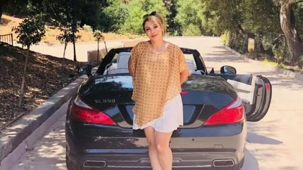 ഇറാന് വേണ്ടി ‘ചാരപ്രവൃത്തി’, കോടികളുടെ ആയുധക്കടത്ത്; അമേരിക്കയില്‍ ഇറാനിയന്‍ വനിത പിടിയില്‍