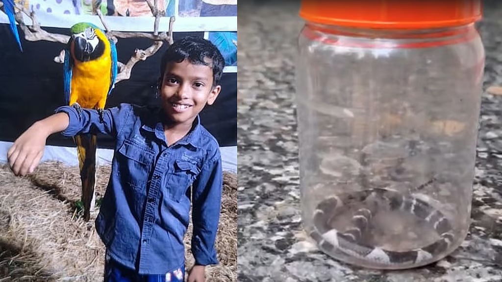 വീടിന് പിന്നില്‍ 200 മീറ്റര്‍ അകലെ കോടശ്ശേരി മല, പാമ്പുകളെ കാണുന്നത് പതിവ്; നാട്ടുകാര്‍ക്ക് തീരാനോവായി ആല്‍ജോ