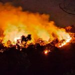 സുഗന്ധഗിരി അമ്പതേക്കര്‍ വനത്തില്‍ തീപിടിത്തം