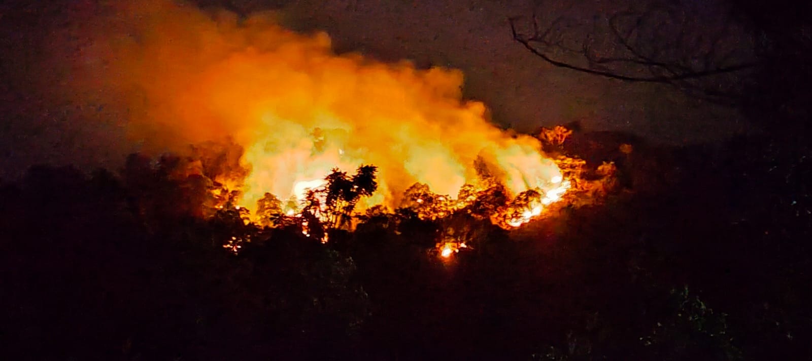 സുഗന്ധഗിരി അമ്പതേക്കര്‍ വനത്തില്‍ തീപിടിത്തം