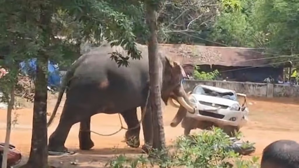 ഒരാളെ ചവിട്ടിക്കൊന്നു, വാഹനങ്ങൾ കുത്തി മറിച്ചു, മണിക്കൂറുകളോളം നാട്ടുകാരെ ‘വിറപ്പിച്ചു’; ഇടഞ്ഞ പാർത്ഥസാരഥിയെ മയക്കുവെടിവെച്ചു
