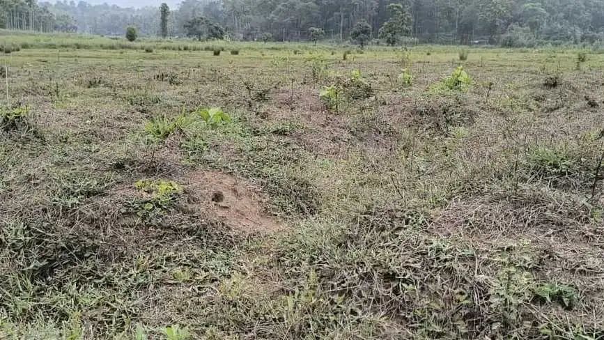 വന്യജീവി ഭീഷണിയിൽ കൃഷിയിടങ്ങൾ തരിശായി; ഉപജീവനം നഷ്ടമായി അതിർത്തി ഗ്രാമങ്ങൾ