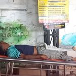 കാട്ടുപോത്ത് ആക്രമണം വനംവകുപ്പ് ജീവനക്കാരന് പരിക്ക്