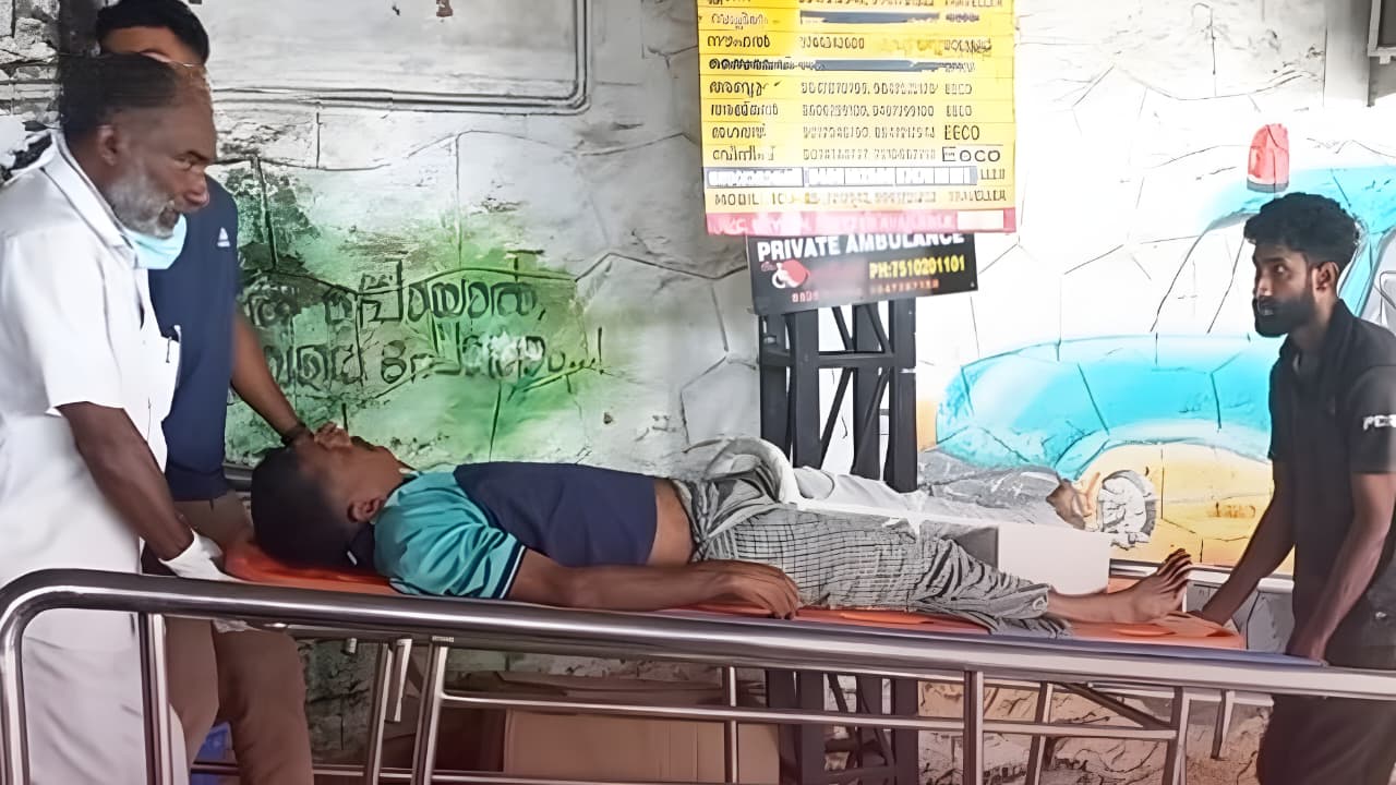 കാട്ടുപോത്ത് ആക്രമണം വനംവകുപ്പ് ജീവനക്കാരന് പരിക്ക്