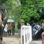 തൃശൂരില്‍ ആന ഇടഞ്ഞു, കാറും, ഓട്ടോറിക്ഷയും കുത്തിമറിച്ചു, പരിഭ്രാന്തി, വിഡിയോ