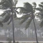 സംസ്ഥാനത്ത് അതിശക്തമായ മഴ; ഇന്ന് എല്ലാ ജില്ലകളിലും മഴ മുന്നറിയിപ്പ്