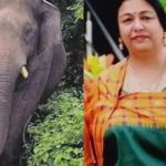 കുടകില്‍ കാട്ടാന ആക്രമണം; മുതിര്‍ന്ന ഐപിഎസ് ഉദ്യോഗസ്ഥന്റെ ഭാര്യയ്ക്ക് ദാരുണാന്ത്യം