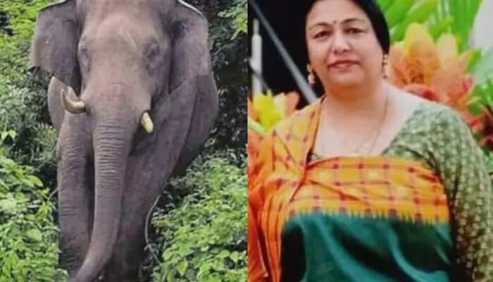 കുടകില്‍ കാട്ടാന ആക്രമണം; മുതിര്‍ന്ന ഐപിഎസ് ഉദ്യോഗസ്ഥന്റെ ഭാര്യയ്ക്ക് ദാരുണാന്ത്യം
