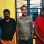 ലക്ഷങ്ങൾ വിലമതിക്കുന്ന വീട്ടിമരം മുറിച്ചു കടത്താൻ ശ്രമിച്ചവർ റിമാൻഡിൽ