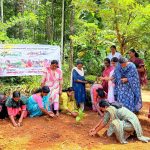 ഓണക്കനി നിറപ്പൊലിമ: ചെണ്ടുമല്ലി കൃഷി ആരംഭിച്ചു