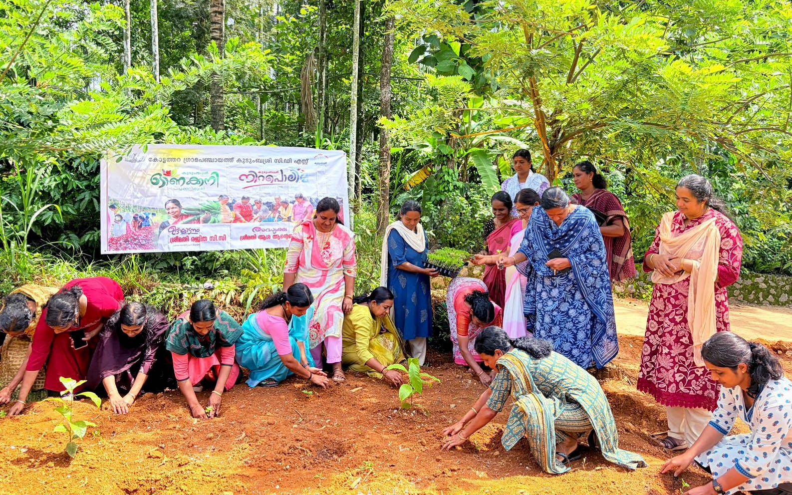 ഓണക്കനി നിറപ്പൊലിമ: ചെണ്ടുമല്ലി കൃഷി ആരംഭിച്ചു