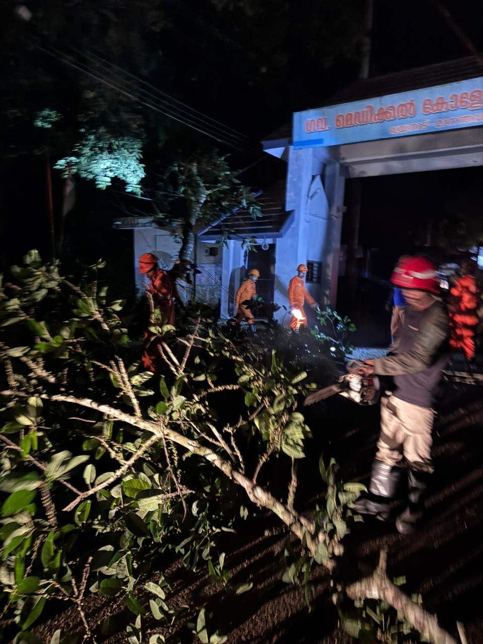വയനാട് മെഡിക്കൽ കോളേജ് ഗേറ്റിനു മുൻപിൽ വലിയ മരശിഖരം പൊട്ടി വീണു