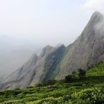 കൊളുക്കുമലയിലെ ഹാരിസൺ മലയാളം കമ്പനിയുടെ കൈവശമിരുന്ന 100 ഏക്കർ ഭൂമി വനംവകുപ്പ് തിരിച്ച് പിടിച്ചു