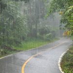 കനത്തമഴ; ഇടുക്കിയില്‍ രാത്രി യാത്രാ നിരോധനം; വൈകിട്ട് 7 മുതല്‍ രാവിലെ 6 വരെ നിരോധനം