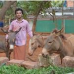 കഴുതവളര്‍ത്തലുമായി 22കാരൻ, പാല്‍ ലിറ്ററിന് 6000 രൂപ;പഠിച്ചത് വയനാട്ടിൽ