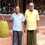 കൃഷിയിടത്തില്‍ വിളഞ്ഞ ഭീമന്‍ ചക്ക ശ്രദ്ധനേടുന്നു