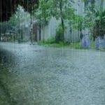 കനത്ത മഴ: ഇന്ന് 11 ജില്ലകള്‍ക്ക് യെല്ലോ അലേര്‍ട്ട്; രണ്ട് ജില്ലകളിലെ വിദ്യാഭ്യാസ സ്ഥാപനങ്ങള്‍ക്ക് അവധി
