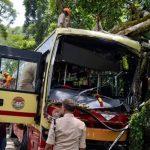 ബത്തേരി മൂലങ്കാവിൽ നിയന്ത്രണം വിട്ട കെഎസ്ആർടിസി ബസ് മരത്തിലിടിച്ചു: 4 പേർക്ക് പരിക്ക്