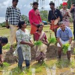 കുടുംബശ്രീ ജില്ലാ മിഷൻ കമ്പളനാട്ടി നടീൽ ഉത്സവം സംഘടിപ്പിച്ചു