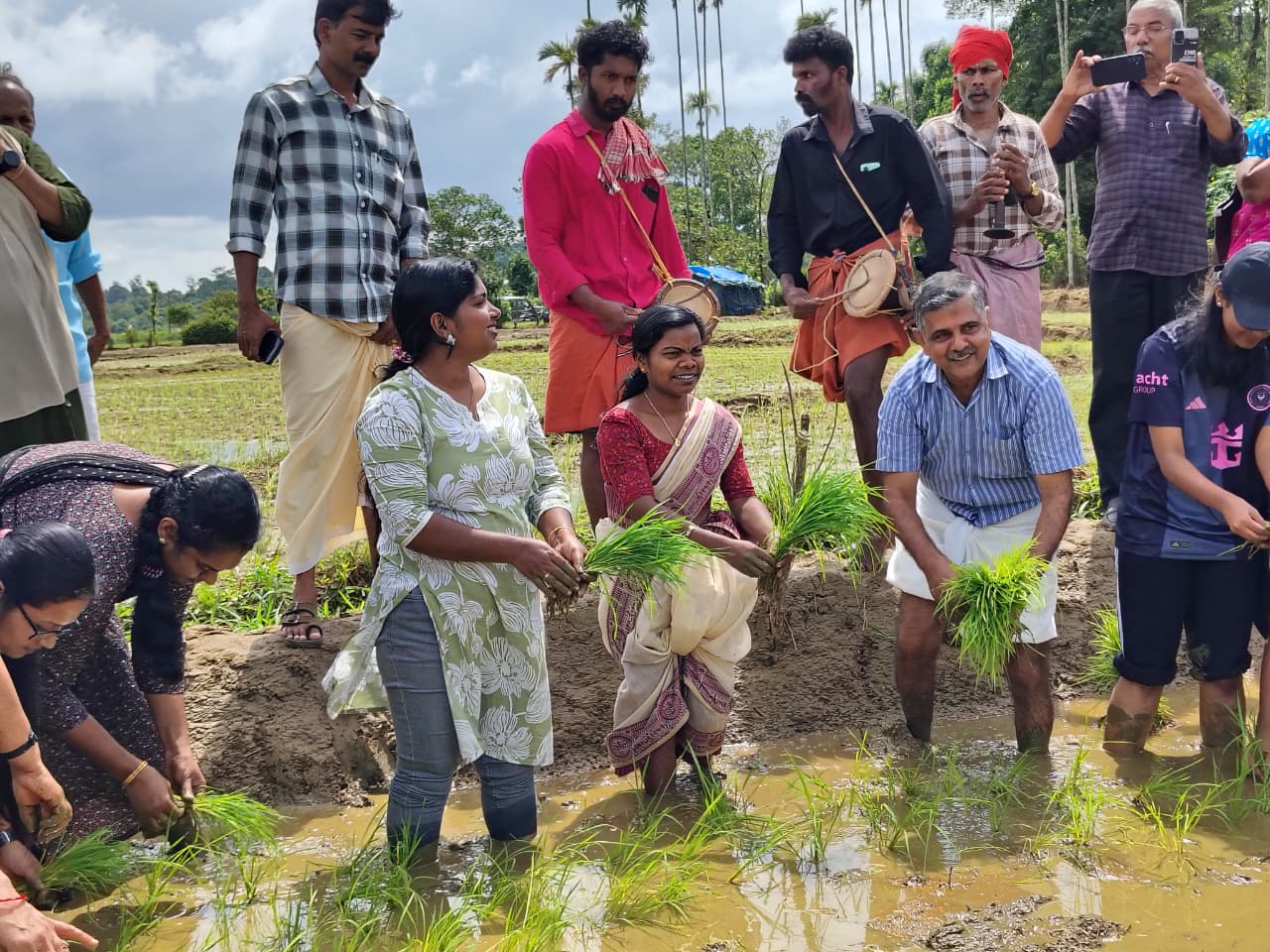 കുടുംബശ്രീ ജില്ലാ മിഷൻ കമ്പളനാട്ടി നടീൽ ഉത്സവം സംഘടിപ്പിച്ചു