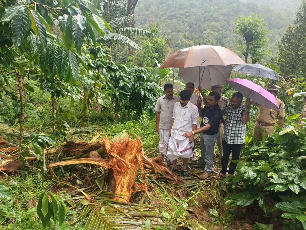 കാട്ടാന ആക്രമണം, കൃഷിമന്ത്രി അഡ്വ ടി സിദ്ദിഖ് സ്ഥലം സന്ദർശിച്ചു.