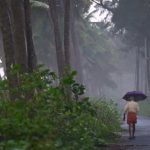 സംസ്ഥാനത്ത് ശക്തമായ മഴയ്ക്ക് സാധ്യത; എട്ട് ജില്ലകളിൽ യെല്ലോ അലർട്ട്