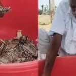 ആരെയും കാണിക്കാതെ സമ്പാദ്യം കുഴിച്ചിട്ടു, പിന്നീട് ആ സ്ഥലം മറന്നുപോയി; ഒരു വര്‍ഷത്തിന് ശേഷം കര്‍ഷകന്‍ കണ്ടത് നെഞ്ചുതകര്‍ക്കുന്ന കാഴ്ച