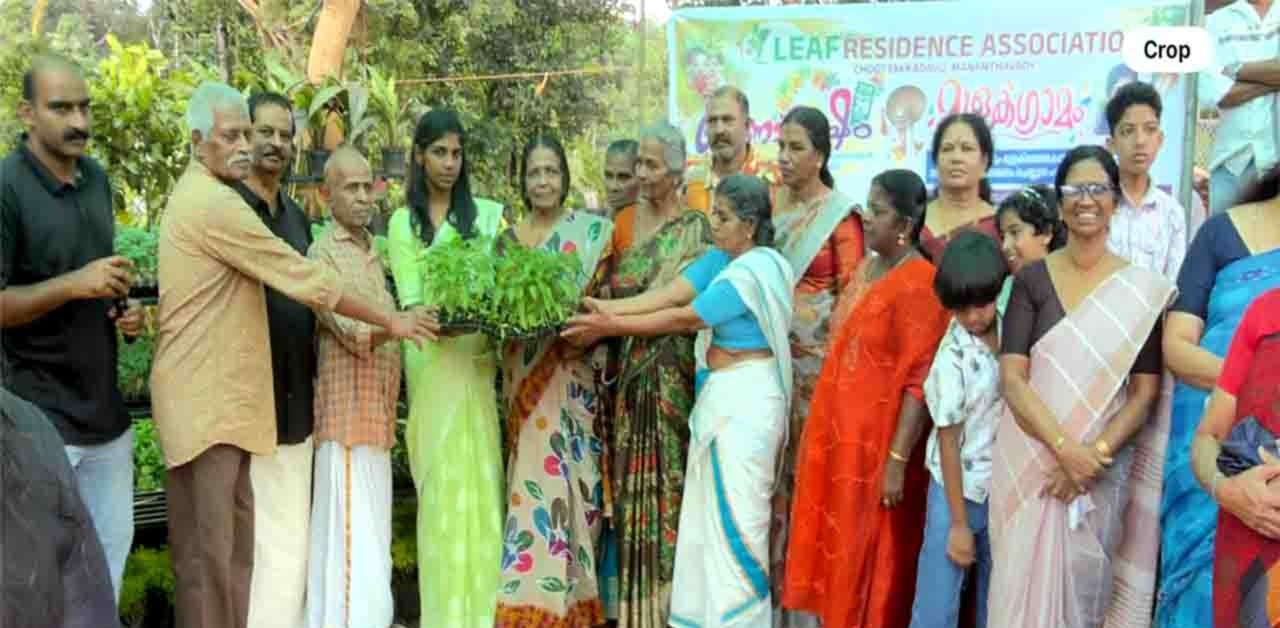 ‘മുളക്ഗ്രാമം’ പദ്ധതിക്ക് തുടക്കമായി