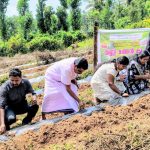 വേനല്‍ മധുരം തണ്ണിമത്തന്‍ കൃഷിക്ക് ജില്ലയില്‍ തുടക്കം