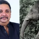 വന്യജീവി ആക്രമണം; കൃഷിനാശത്തിന്റെ നഷ്ടപരിഹാര തുക 100 ശതമാനം വര്‍ധിപ്പിച്ചു