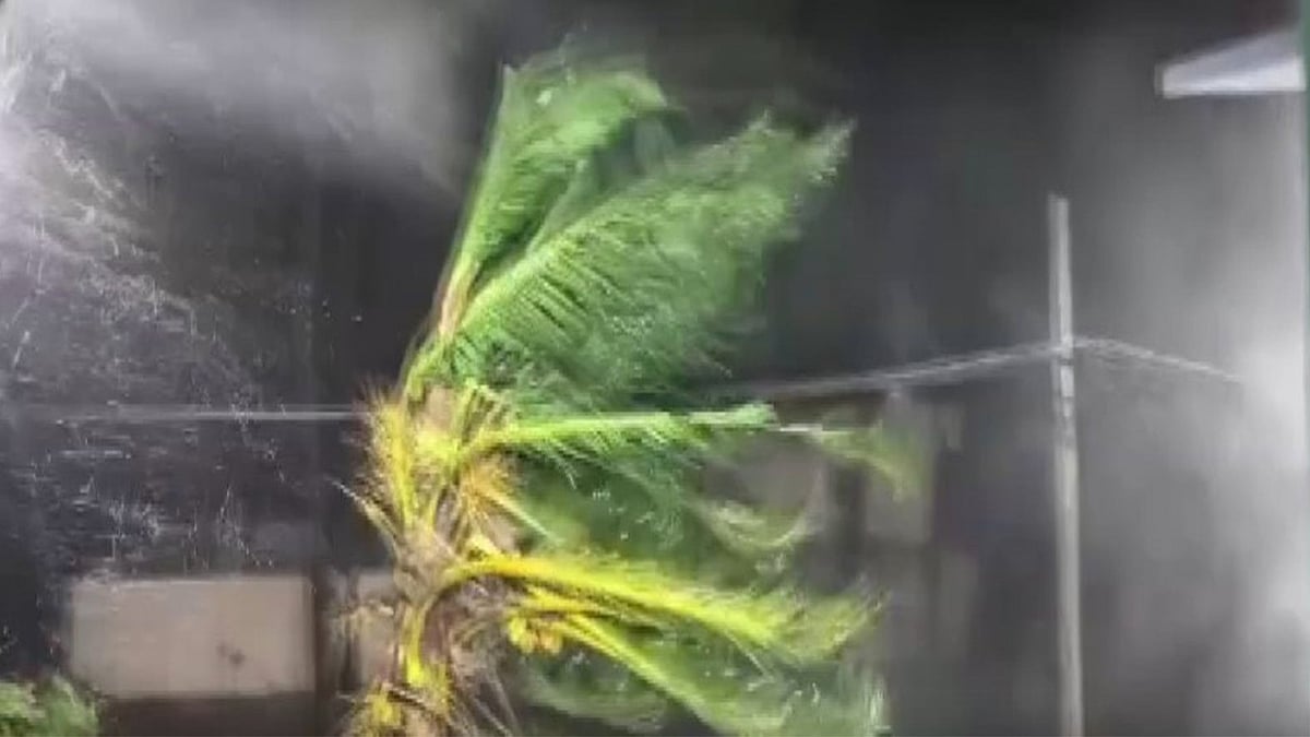 മണിക്കൂറില്‍ 150 കിലോമീറ്റര്‍ വരെ വേഗത, അര്‍ണബ് കരതൊട്ടു, ട്രെയിന്‍, വ്യോമ ഗതാഗതം താറുമാറായി, അതീവ ജാഗ്രത
