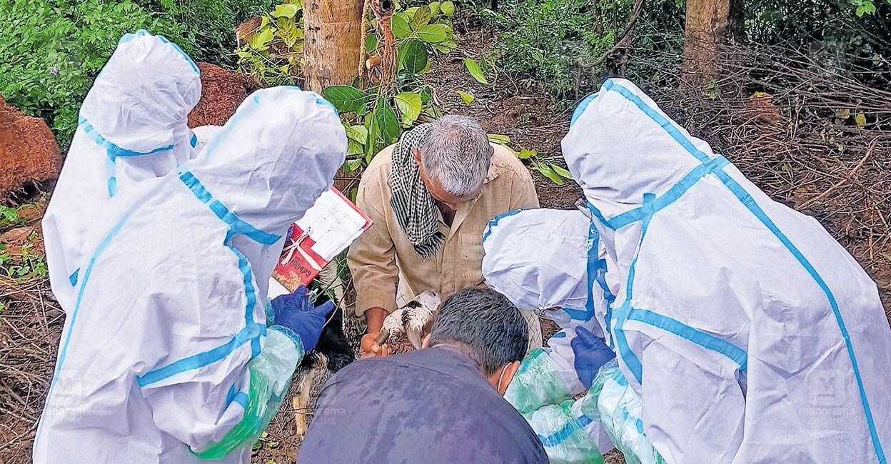 നിപ്പ രോഗികൾ മരിച്ചത് കാലാവധി കഴിഞ്ഞ മരുന്ന് കാരണമോ? ഗുരുതര ആരോപണവുമായി ആരോഗ്യ മന്ത്രി; അന്വേഷണം