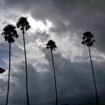തുലാവർഷം നാളെ എത്തും; സംസ്ഥാനത്ത് അതിശക്തമായ മഴയ്ക്ക് സാധ്യത; നാല് ജില്ലകളിൽ ഓറഞ്ച് അലേർട്ട്